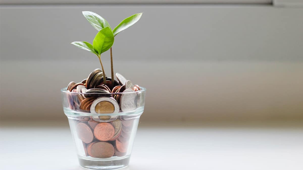 A transparent plant pot full of coins with a plant growing out of it to illustrate Mackman Research's work with Ipswich Building Society