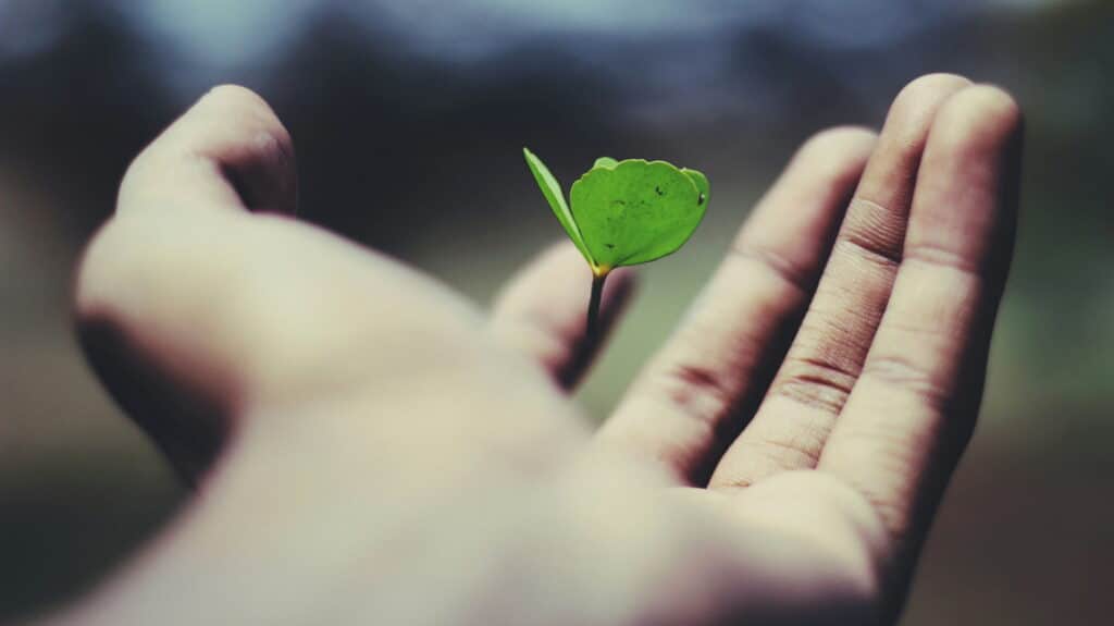 Sustainable Business Strategy